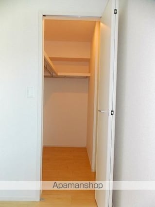 ＰＬＡＩＳＩＲ　Ｓｉ　Ⅱ[2DK/46.06m2]の収納
