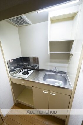 ロイヤルガーデン哲学堂[1K/19.95m2]のキッチン