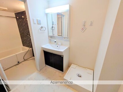 ラピスラズリ[2LDK/53.8m2]の洗面所