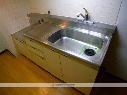 メゾン・ド・アイ弐番館[2DK/45.6m2]のキッチン