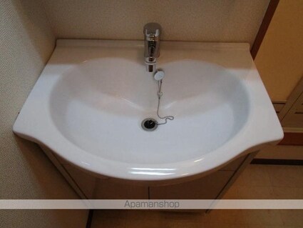 サザンコートⅥ[2DK/41.85m2]の洗面所