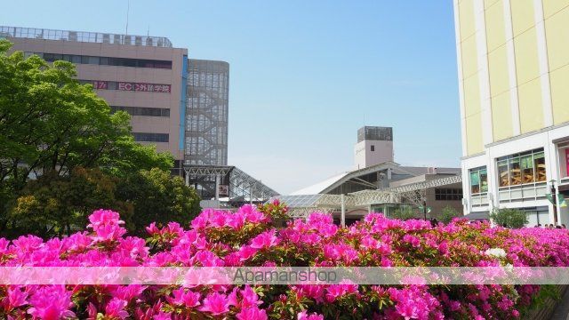 小田急電鉄小田原線 読売ランド前駅 徒歩14分 2階建 築5年の内装写真