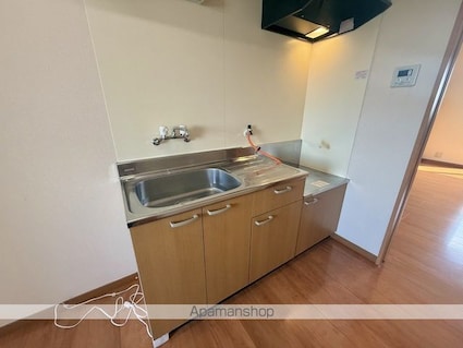 ローズ[1K/29.81m2]のキッチン