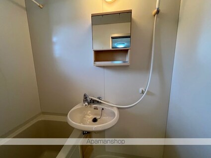 アムール十里[2K/34.78m2]の洗面所