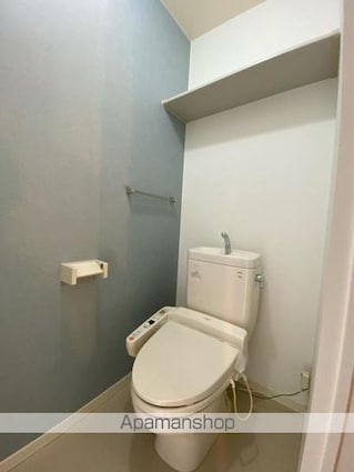 パインテイル　Ａ・Ｂ・Ｃ・Ｄ棟[2LDK/58.54m2]のトイレ