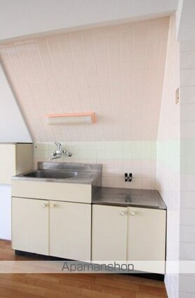 ピカデリーサーカス緑町[1R/29.44m2]のキッチン