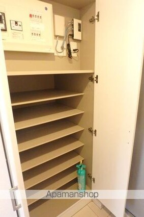 エスティメゾン錦糸町Ⅱ[1LDK/41.02m2]の収納1