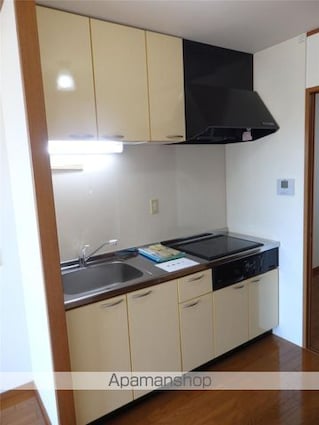 ハイツエクセルⅤ番館[2DK/52.2m2]のキッチン