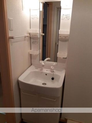 アーラ・ピッコロ[1K/30.46m2]の洗面所