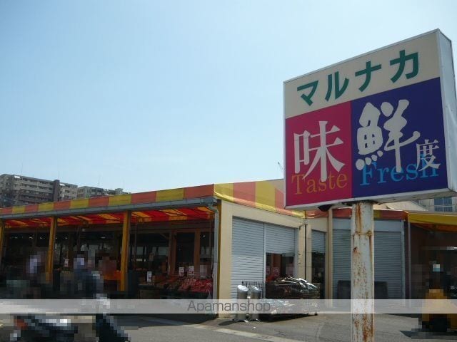 SPRING KIIの周辺写真