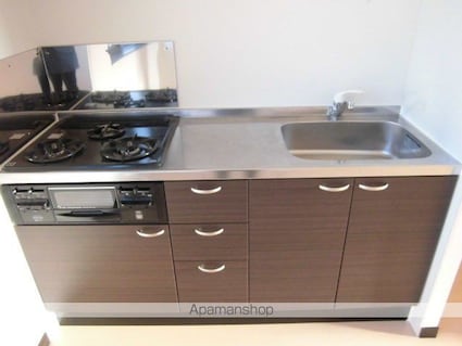 レオネクストパウロウニア[1LDK/46.94m2]のキッチン