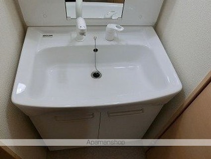 ベアヴァレー[1LDK/45.39m2]の洗面所