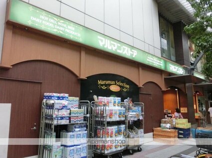 ステーションガーデンタワー[1K/34.42m2]の周辺1