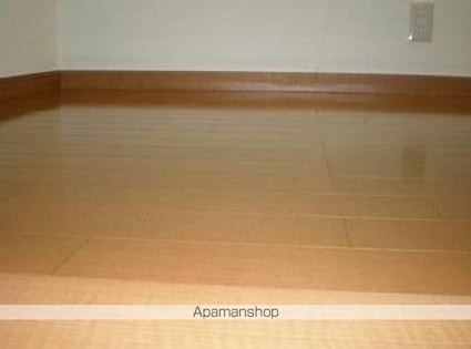 ライフピアマノワール[1R/10.5m2]の内装