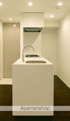 カスタリア市ヶ谷[1K/30.4m2]のキッチン