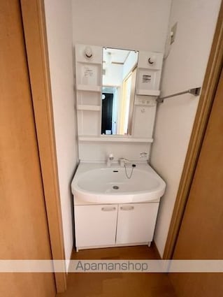 Ｐｏｌａｒｉｓ[2LDK/60.43m2]の洗面所