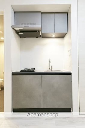 ザ・ライオンズフォーシア八丁堀[1DK/25.54m2]のキッチン