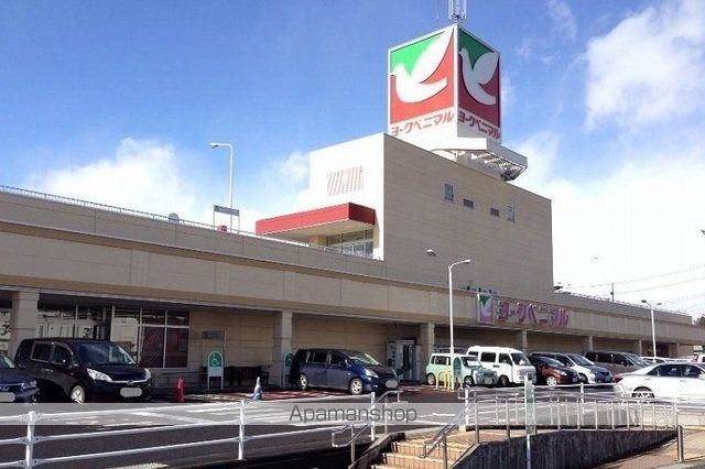 チェリーコーポの周辺写真