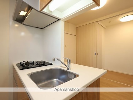 ＬＯＶＩＥ麻布十番[1R/26.16m2]のキッチン