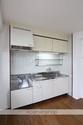 レジデンス梓Ⅱ[2DK/48.73m2]のキッチン
