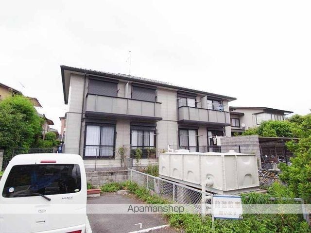 ヴィヴァーチェ杉