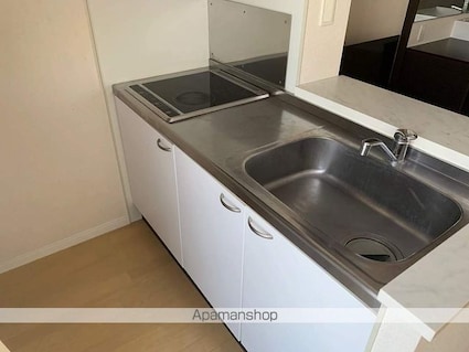 レオネクストグリーンガーデン[1R/26.5m2]のキッチン