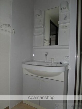 ブライムサンライト[3LDK/71.5m2]の洗面所