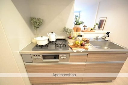 パークヒル国分寺[1K/48m2]のキッチン