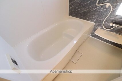 ルイティア　ＩＩ[1LDK/45.27m2]のバス