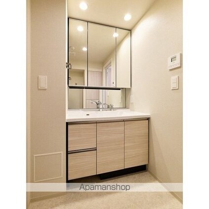 コンフォリア・リヴ西大島ＳＯＵＴＨ[1SLDK/48m2]の洗面所