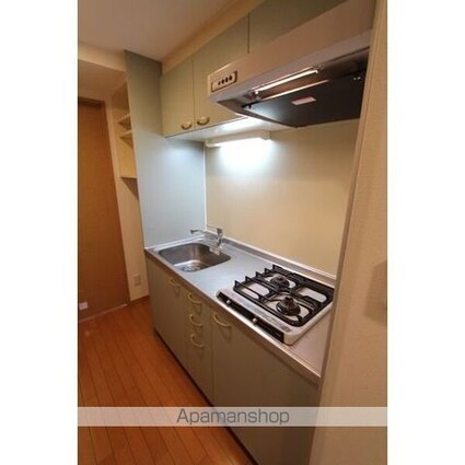 ザ・レジデンス行徳Ⅲ[1K/22.91m2]のキッチン