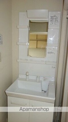 ヴィラナリー川津　２棟[2K/39.17m2]の洗面所