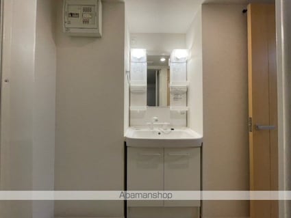 フェリシタ[1K/30.85m2]の洗面所