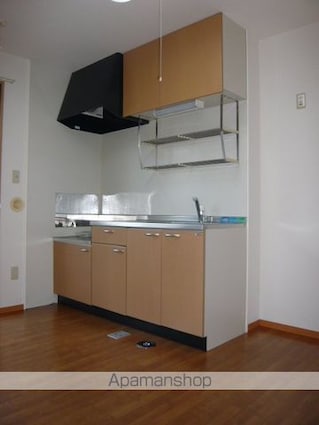 ソルジェンテ諏訪[2DK/48.57m2]のキッチン