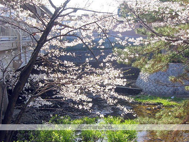 アルテシアン夙川の周辺写真