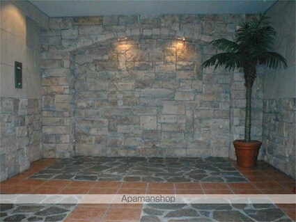 フェニックス新宿７丁目[1K/20.89m2]のロビー