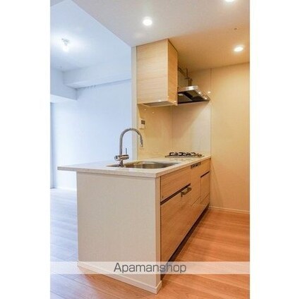 Ｂｅｌｌｅ　Ｖｕｅ　千代田飯田橋[1LDK/38.43m2]のキッチン