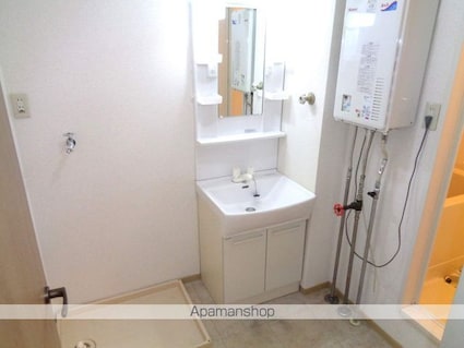 セジュールＭＥ諏訪Ａ棟[2DK/47.8m2]の洗面所