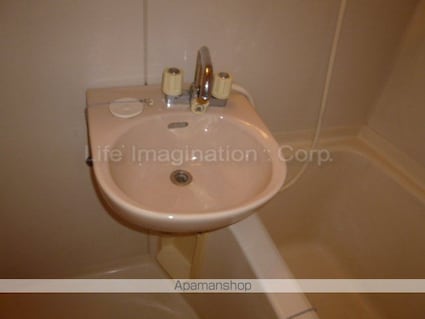 プレジール礒田[2DK/39.74m2]の洗面所