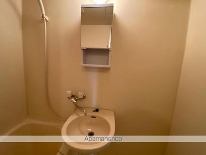 フォブールホロニックＡ[2DK/40.04m2]の洗面所