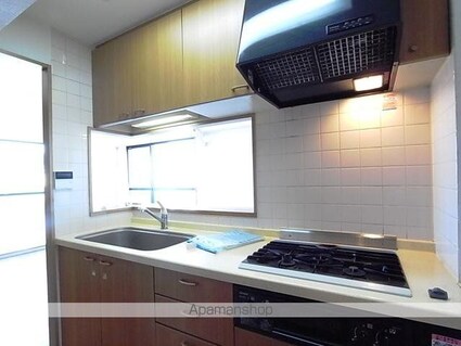 ベルペサージュ[2LDK/65.98m2]のキッチン2