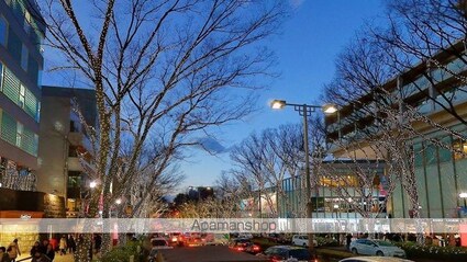 パークアクシスプレミア表参道[1LDK/49.54m2]の周辺3