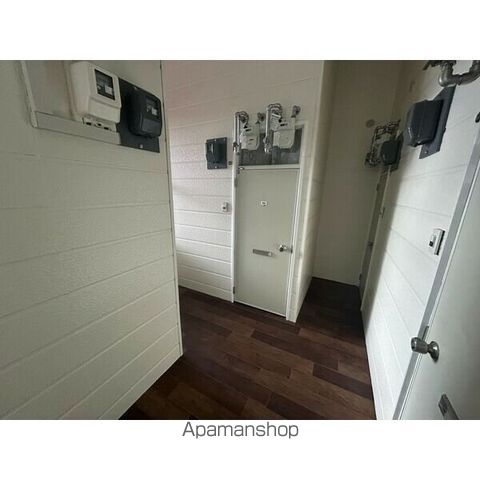 ノーステリアのその他写真