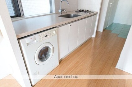 カスタリア麻布十番Ⅱ[1R/30.53m2]のその他内装5