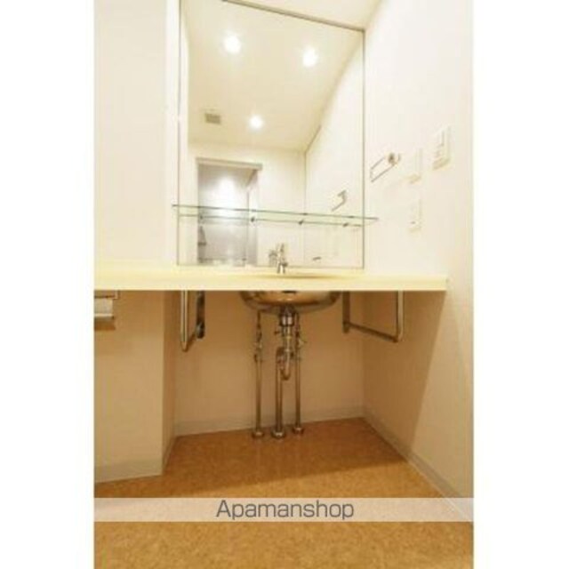 パークルージュ赤坂檜町[1R/30.36m2]のその他内装5