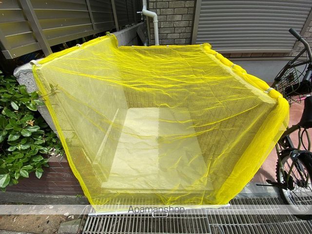 レオーネIIのその他写真
