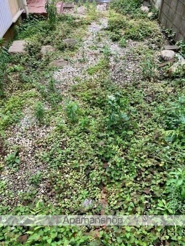 宮戸戸建の内装写真