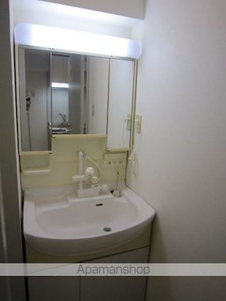 メイプル・アーサ中山[2K/33.16m2]の洗面所