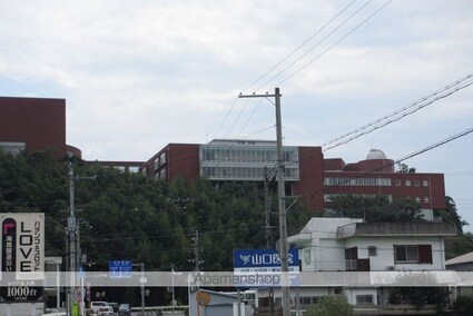Ｃｏｚｙ　Ｃｏｕｒｔ　Ｂ棟[2LDK/53.84m2]の周辺1