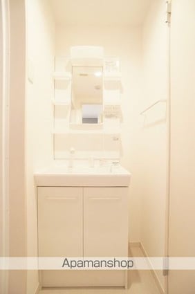 リブリ・ＧＯＬＤⅡ[1K/27.53m2]の洗面所